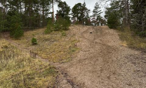 Harju, Mervi Hemminki