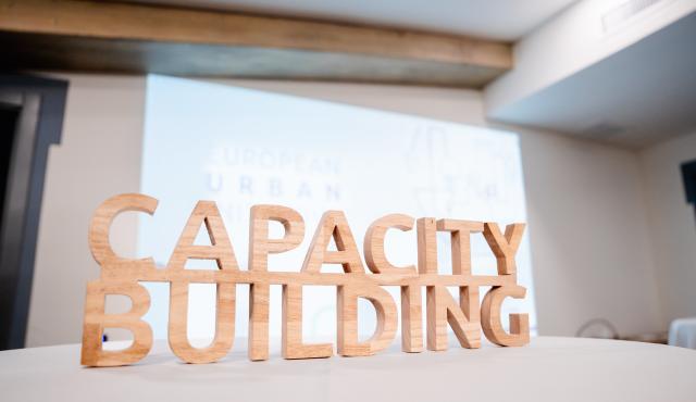 Capacity building wooden words