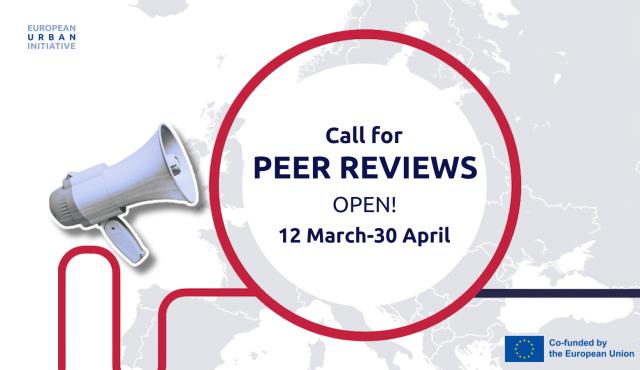 EUI Peer Reviews call 2024