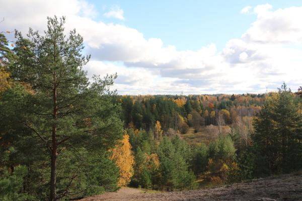 Skanssin biodiversiteettipuisto, Anna Paulus