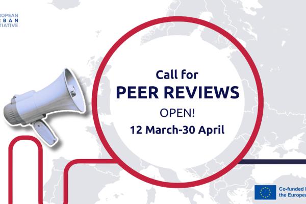 EUI Peer Reviews call 2024