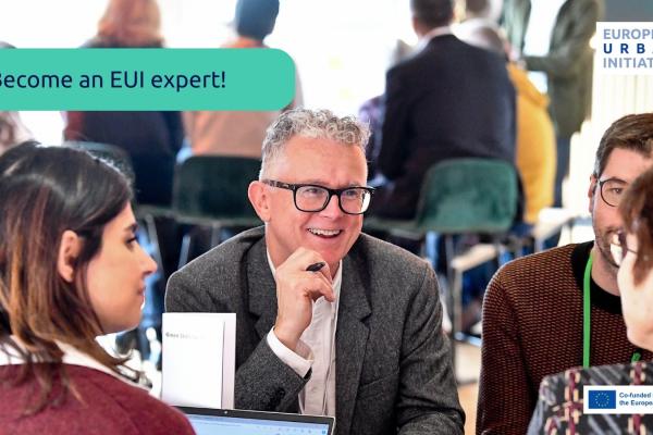 EUI Experts