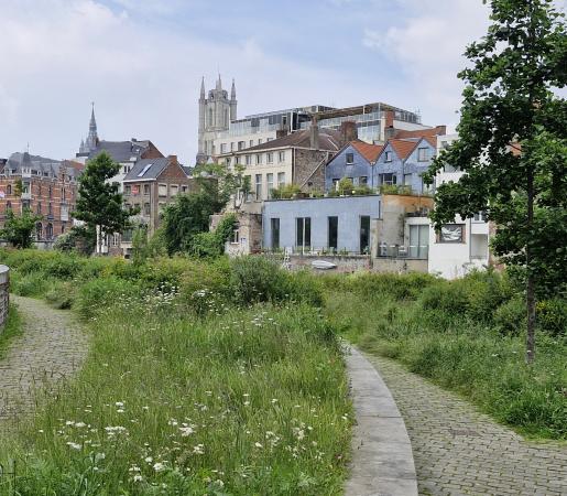 REWILD_City_of_Ghent, Belgium