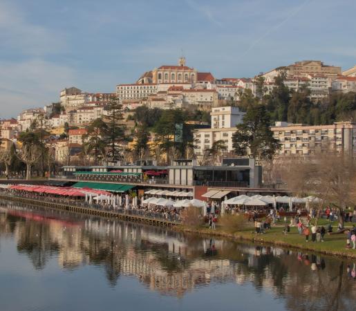 COIMBRA ST LLM